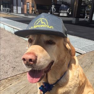 Meet your Posher, Lilly